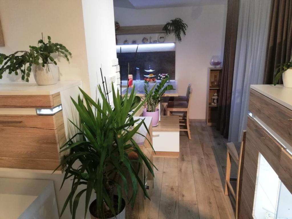 Ferienwohnung Galeria Stastie Senec Exterior foto